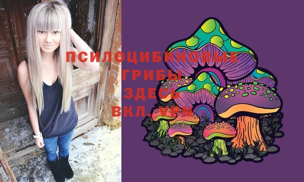 2c-b Балахна