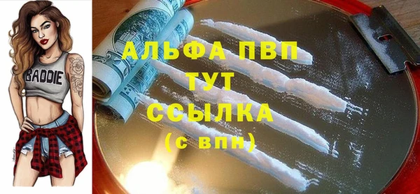 PSILOCYBIN Баксан
