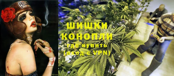 PSILOCYBIN Баксан