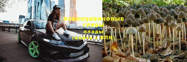 а пвп мука Саяногорск