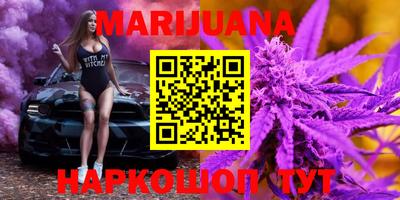 индика Кинель