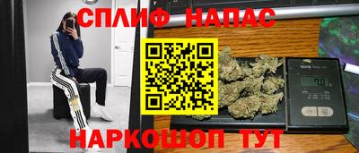 индика Кинель