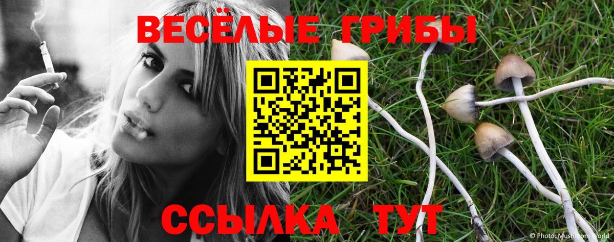 Псилоцибиновые грибы ЛСД  Вход с VPN  закладки  Нерюнгри  Галлюциногенные грибы GOLDEN TEACHER 